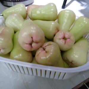 Buah Jambu Air Citra Bio